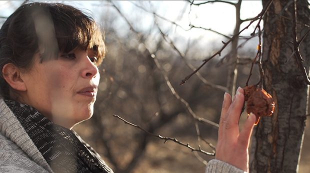 No sucumbió la eternidad documental