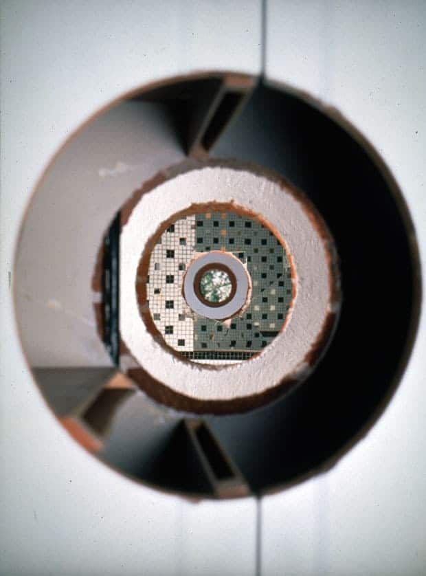 Intervención Flora 9. Galería de Arte Contemporáneo. 