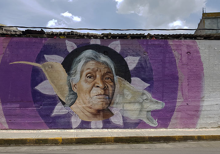 huitzizilapan-defensa-del-agua-y-el-bosque, int2