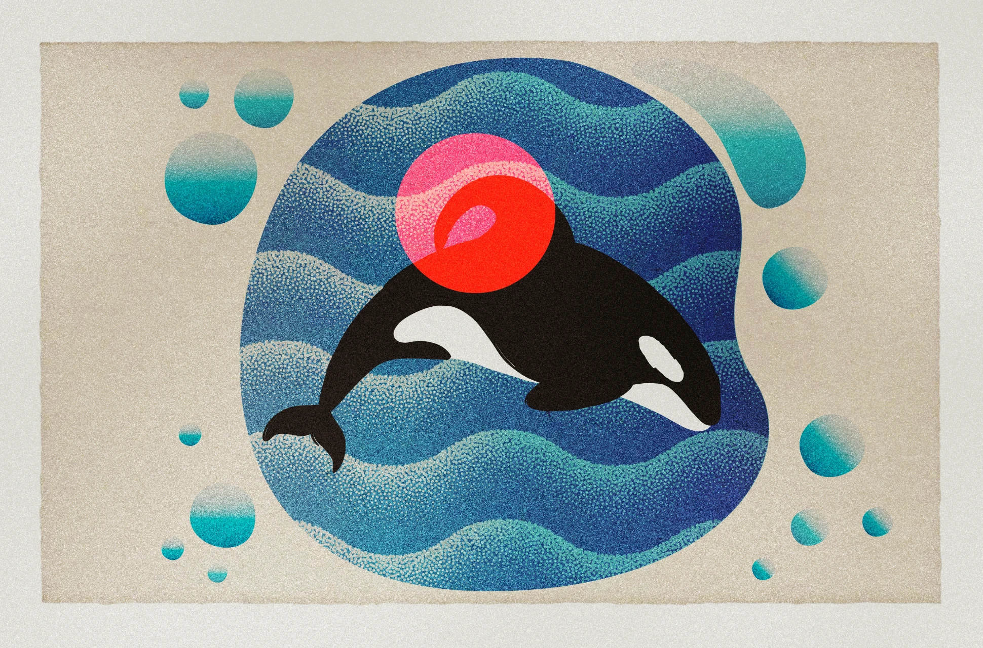 El cuerpo de la orca que vivió durante más de tres décadas en la pileta de Mundo Marino haciendo piruetas frente al público, yace en algún sitio oculto de la costa atlántica como un residuo dañino.