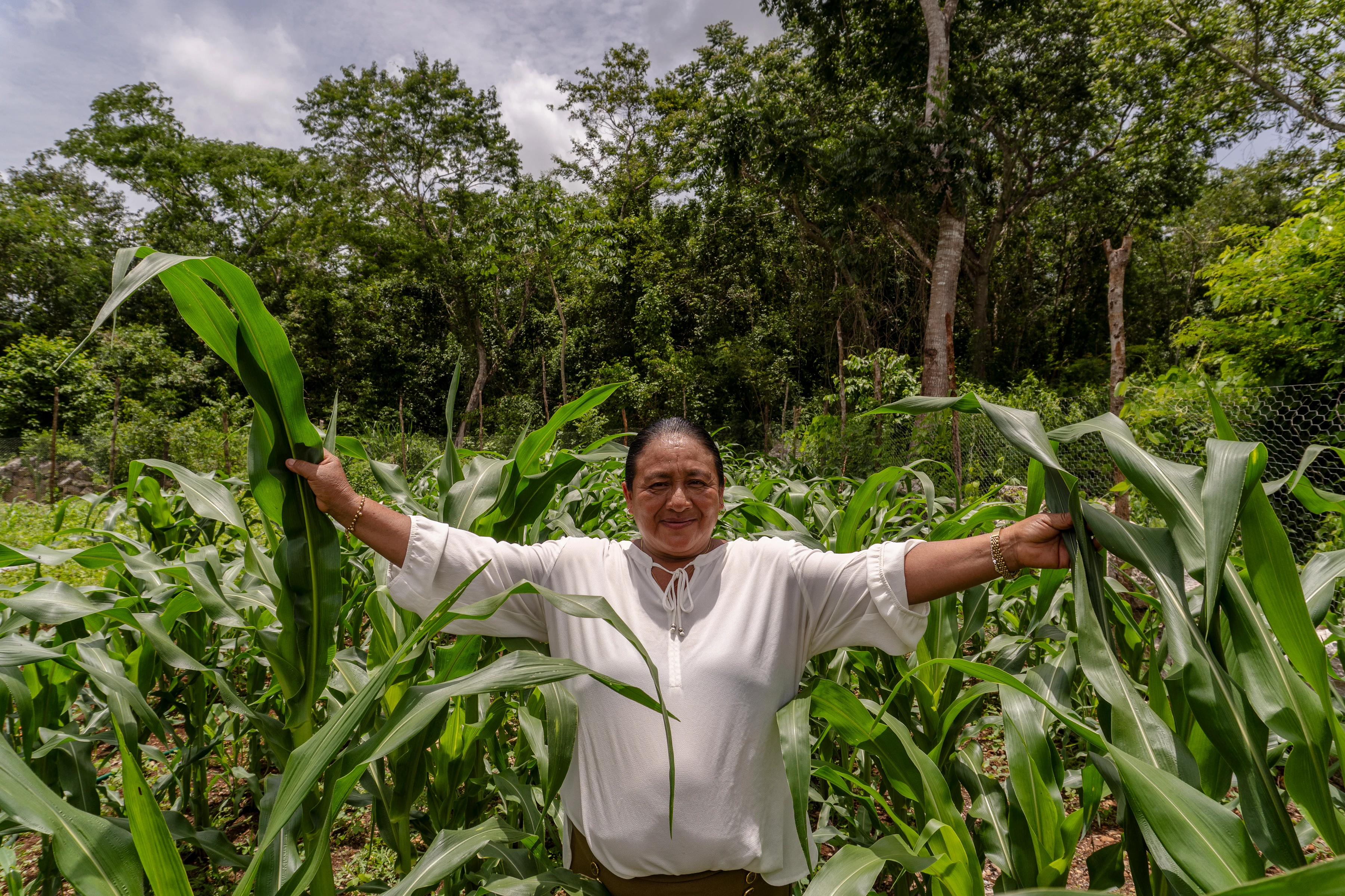 La tía Vero sueña con hacer prosperar su milpa y, en un futuro, vender sus productos en la comunidad de Xanlá.