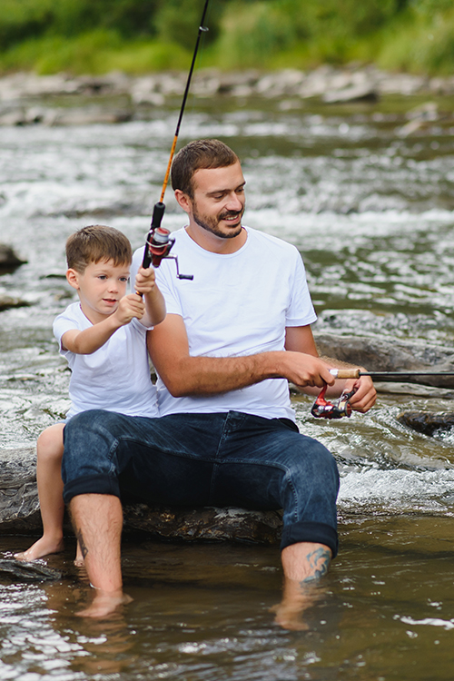 Fly fishing across Holston's seasons