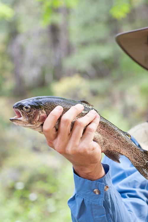 What is the best fly fishing combo for beginners?
