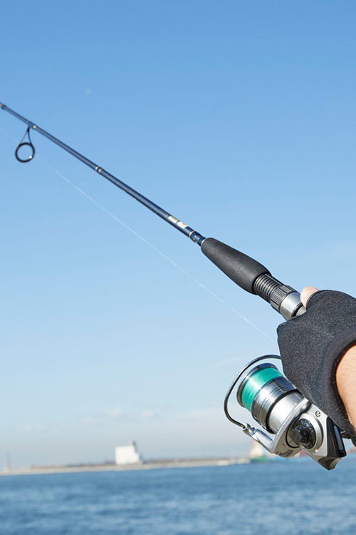 What fish are biting in Little river

