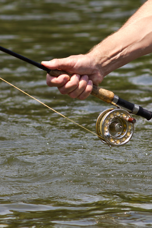 What is the best rig for trout fishing in the river

