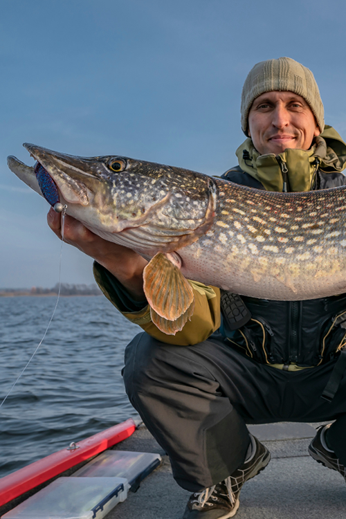What is the best line for trout fishing
