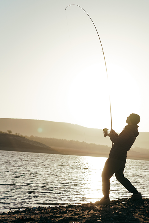 What is the best way to catch trout in a river
