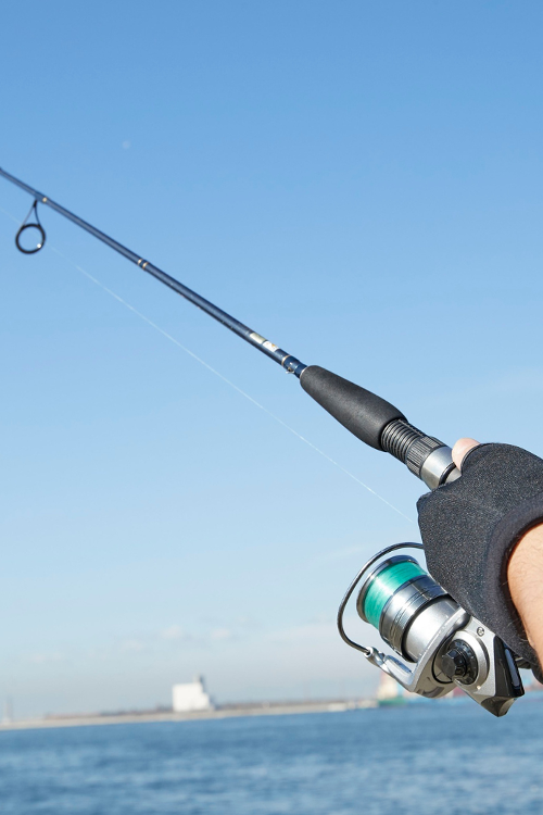 What are the best conditions for topwater lures
