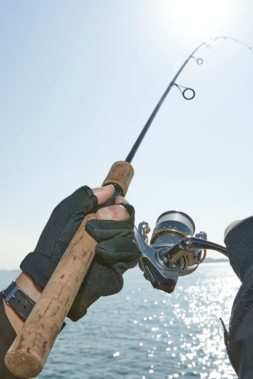 How do you top water fish for bass
