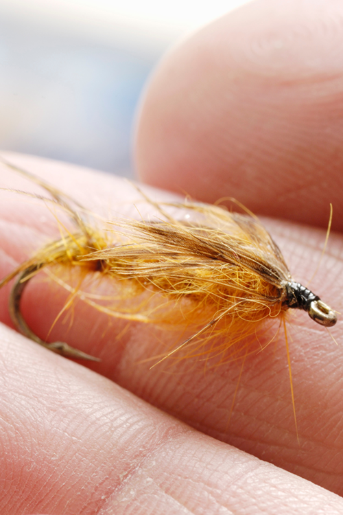 Dry Fly Fishing vs Modern Nymphing Techniques
