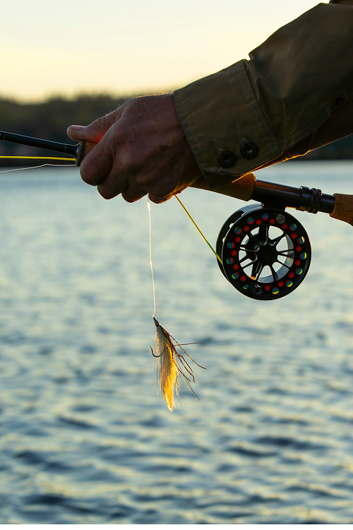Barbless Hooks Fly Fishing
