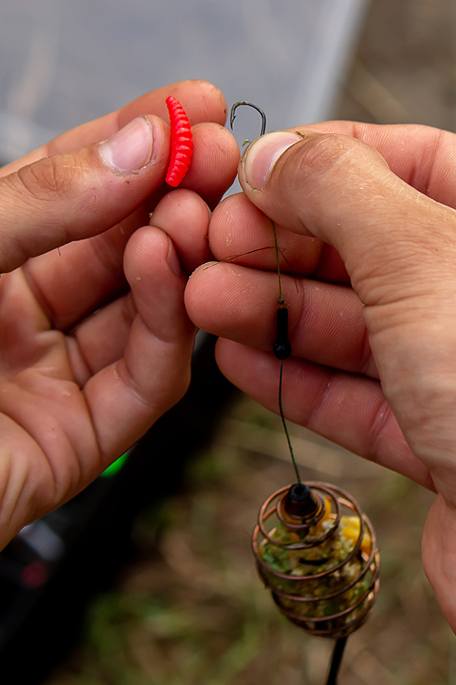 Releasing Trout with Barbless Hook
