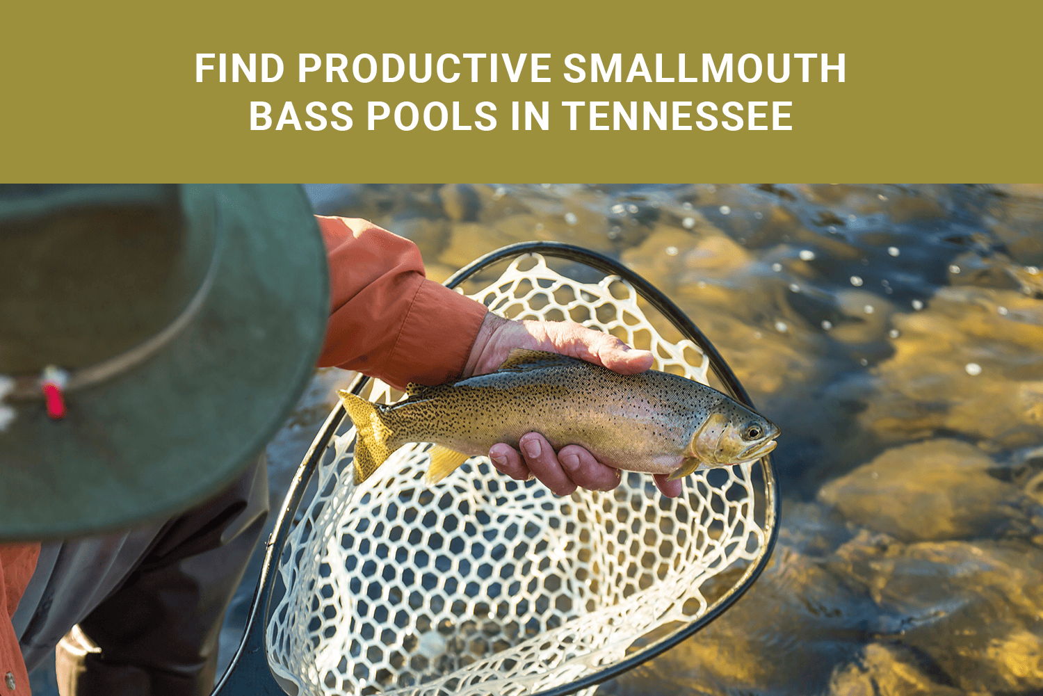Find Productive Smallmouth Bass Pools in Tennessee App
