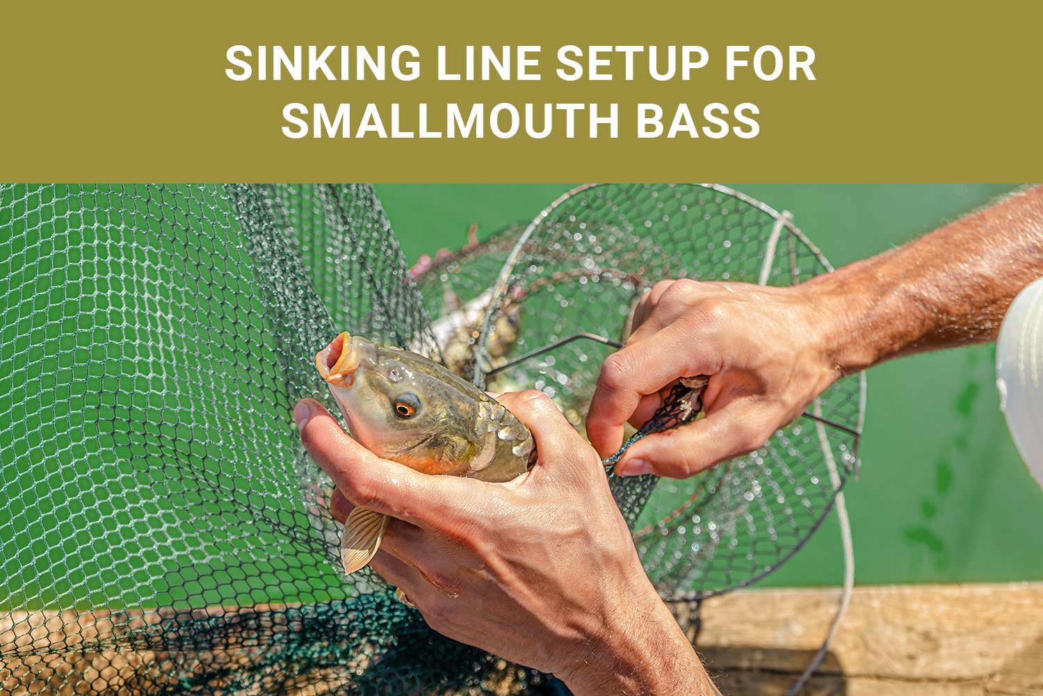 What is the Best Sinking Line for Bass
