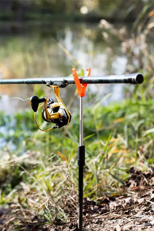 Bass Fly Fishing Set Up