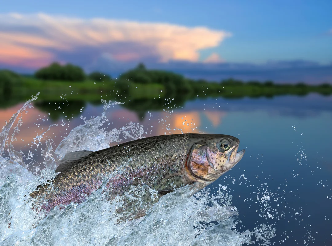 What Color is Hardest for Trout to See