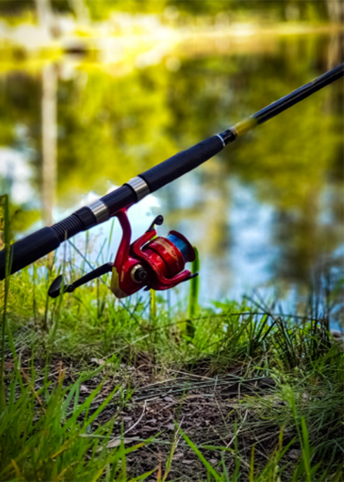 East Tennessee Smallmouth Fishing Tactics