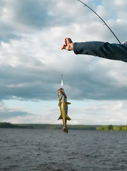 caney fork fly fishing using effective nymphing methods