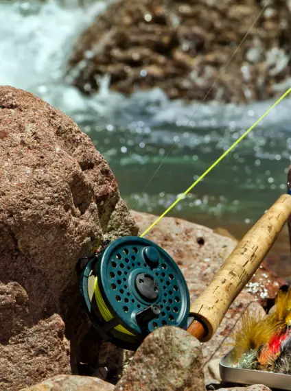 clinch river fly fishing experience with a professional guide