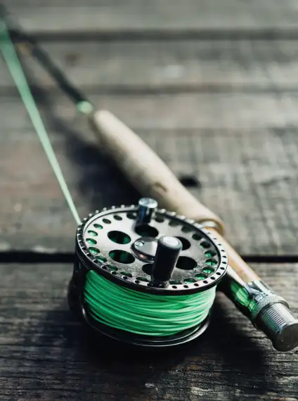 clinch river fly fishing experience with a professional guide