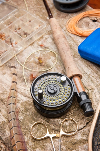 clinch river fly fishing experience with a professional guide