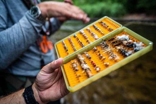 Choose the right fly help to your fishing near you