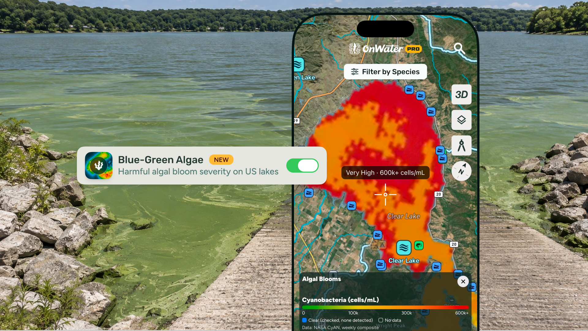 Phone showing the onWater Fish map with a red and orange cyanobacteria bloom on a lake, held in front of a boat ramp with green algae in the shallows