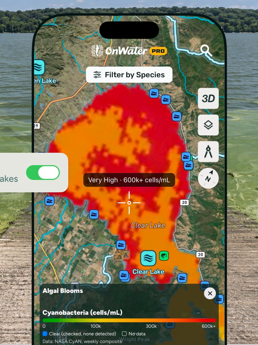 Phone showing the onWater Fish map with a red and orange cyanobacteria bloom on a lake, held in front of a boat ramp with green algae in the shallows