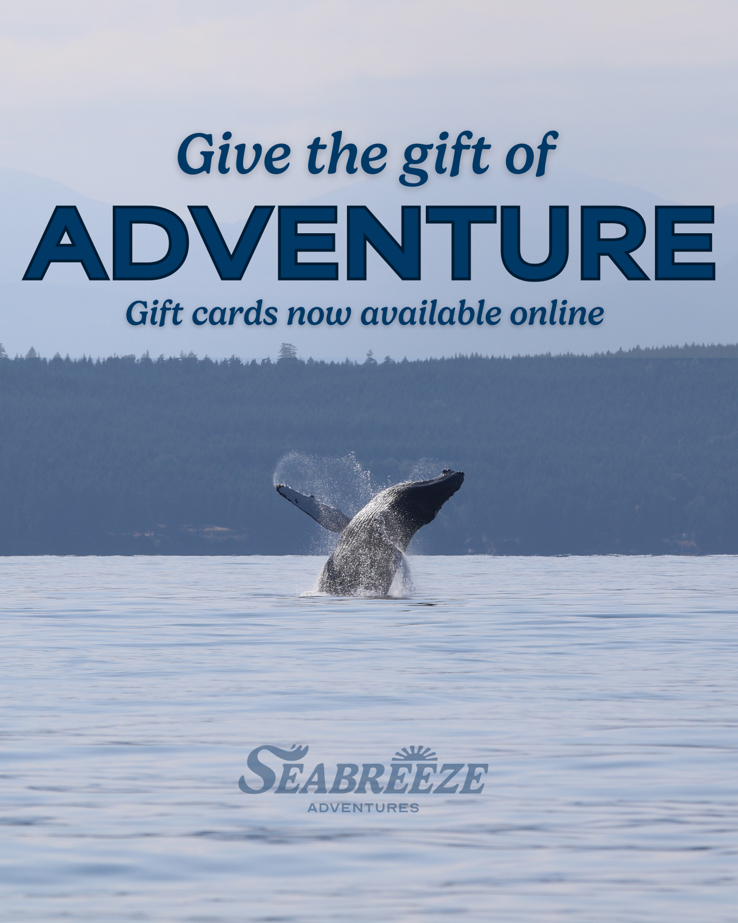 give the gift of adventure with a humpback breaching