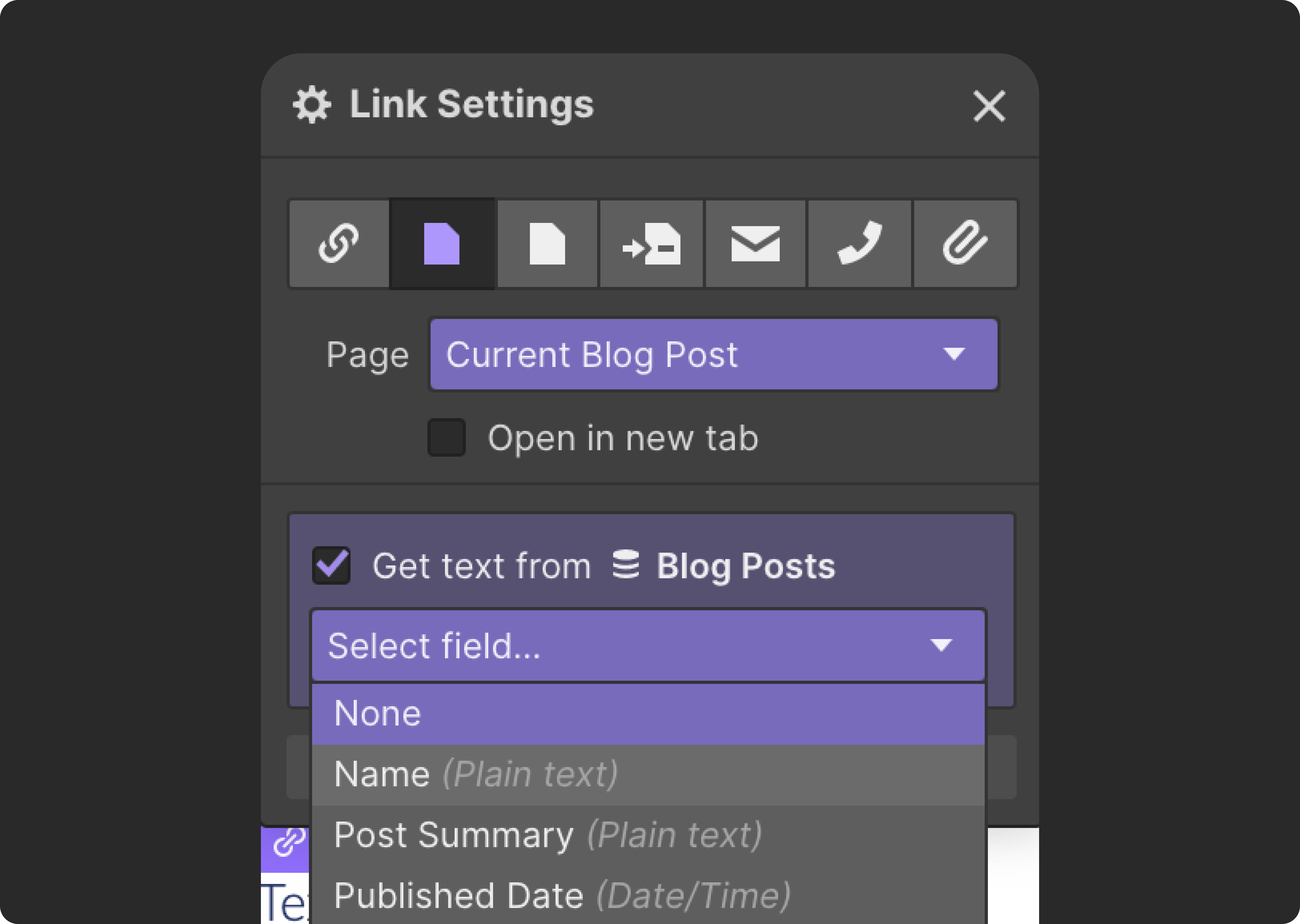 webflow link settings