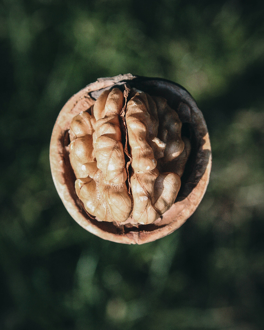 chronic fatigue treatment