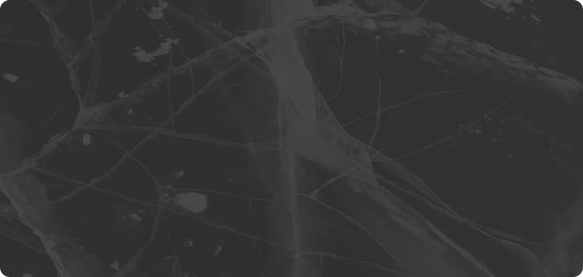 neuron firing across a synapse; neuroplasticity