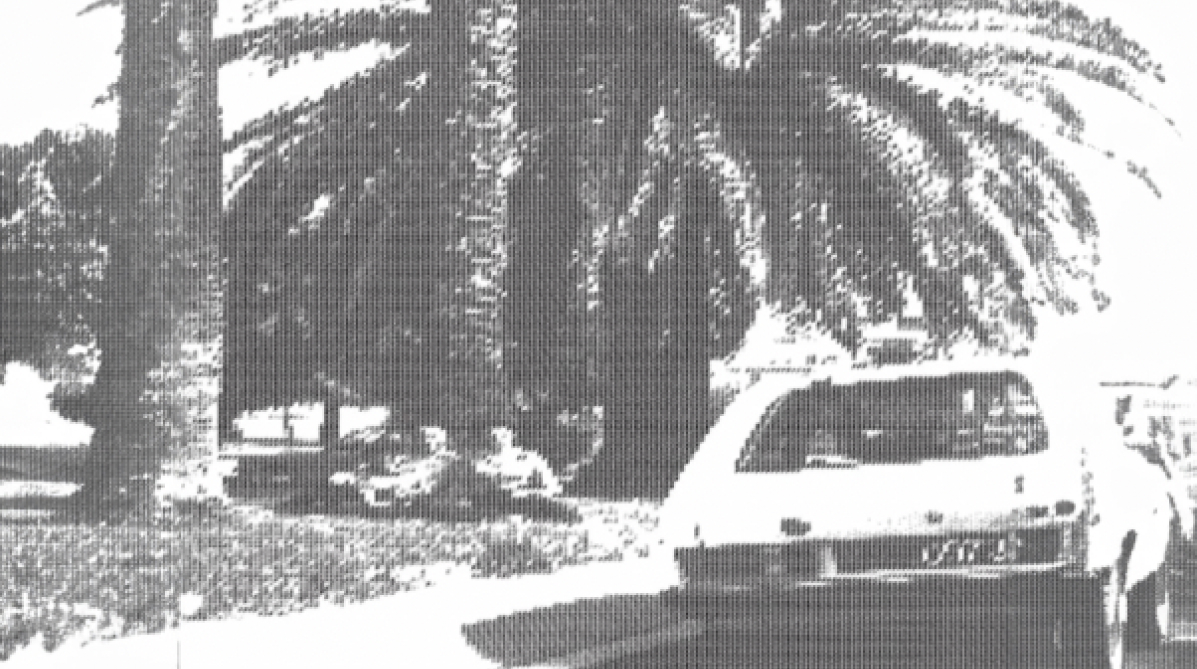 Black and white picture