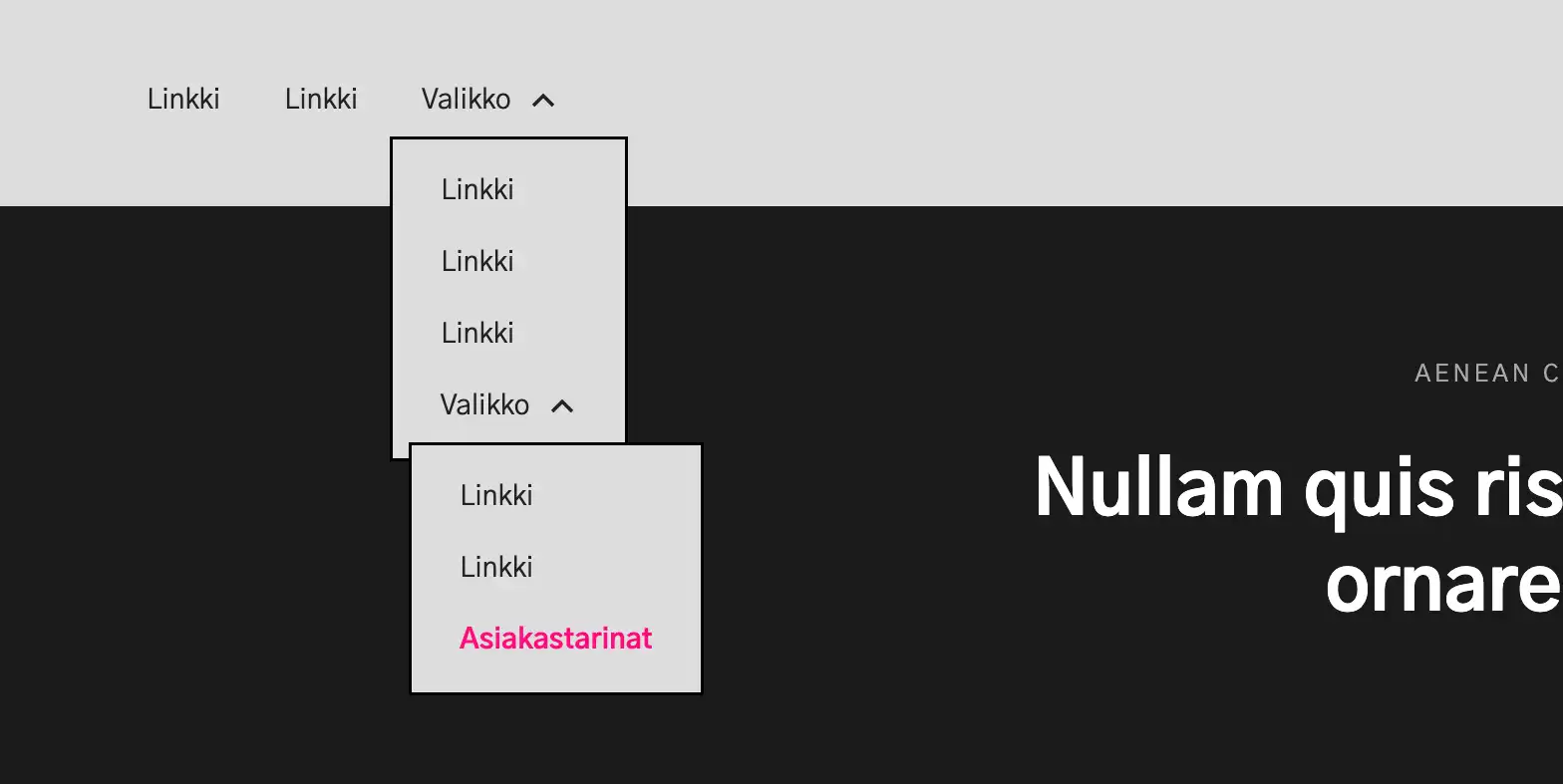 Verkkosivun valikko, jossa on avautuvia alavalikoita ja korostettu linkki Asiakastarinat.