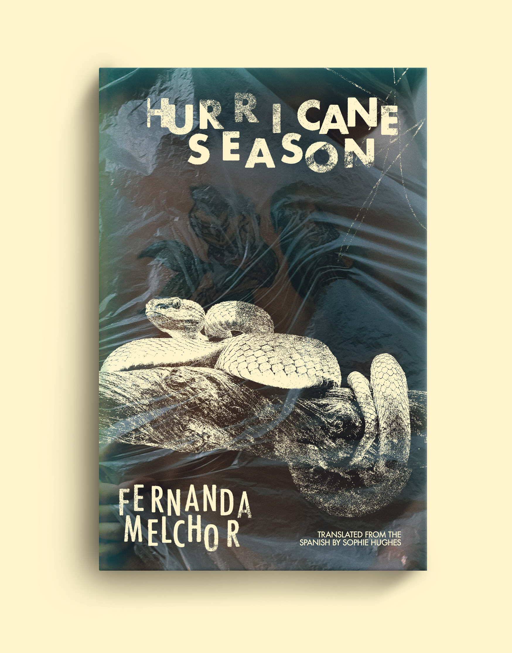 Book cover for Hurricane Season by Fernanda Melchor.