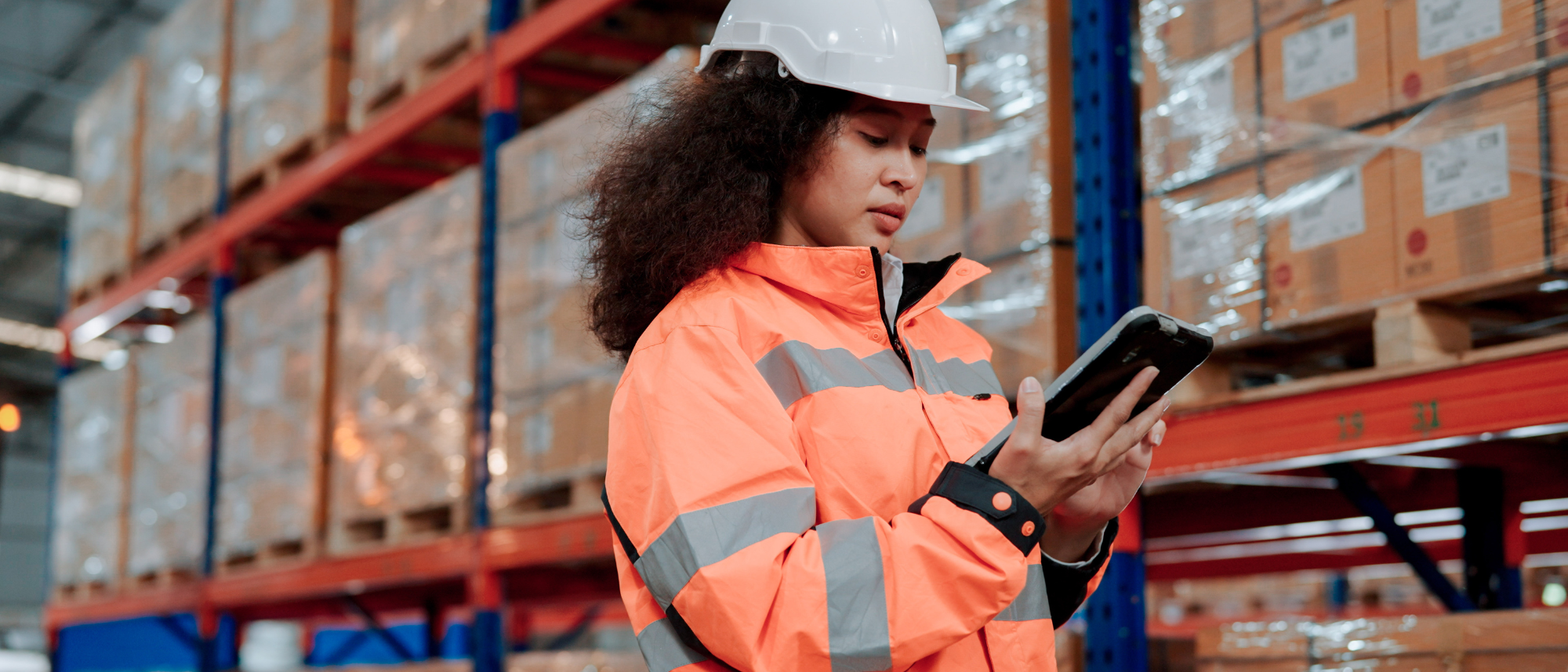 Inventory Counting: the Worst Job in the World?