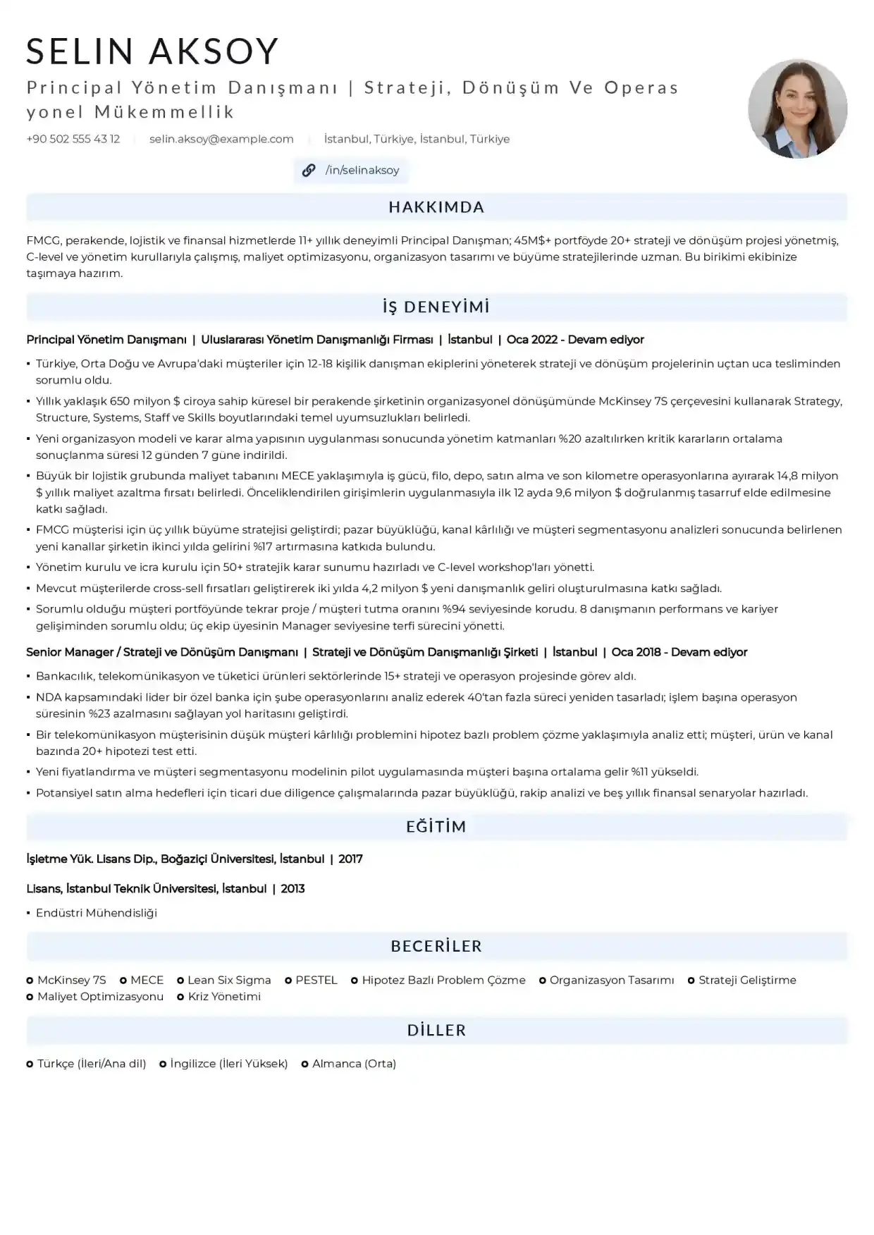 Kıdemli (Senior / Principal) Yönetim Danışmanı Örneği
