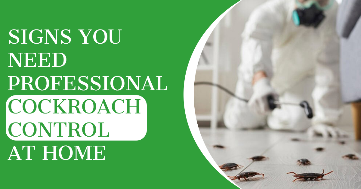 Signs You Need Professional Cockroach Control at Home