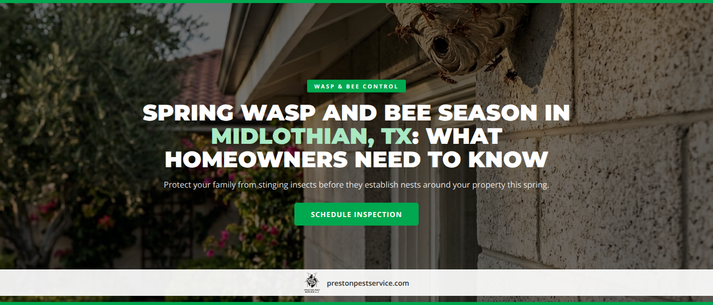 Wasp and bee nest removal service in Midlothian TX - Preston Pest Service