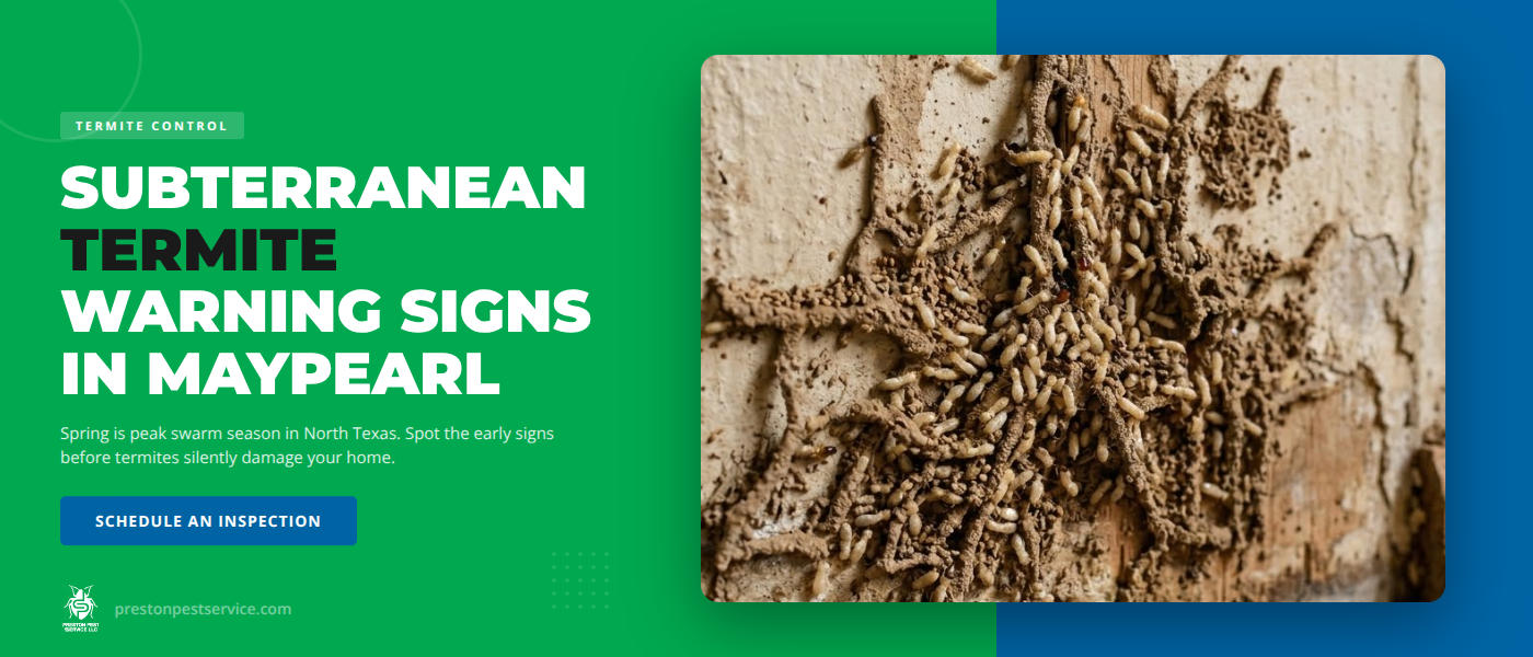 Subterranean termite inspection and control service in Maypearl TX - Preston Pest Service