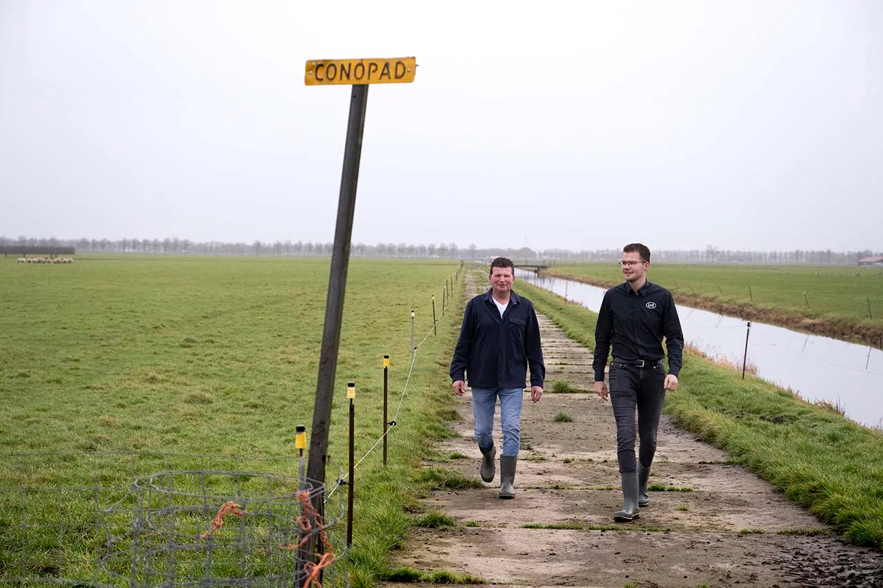Veehouders Harry en Frank Heeman lopen op het CONO pad