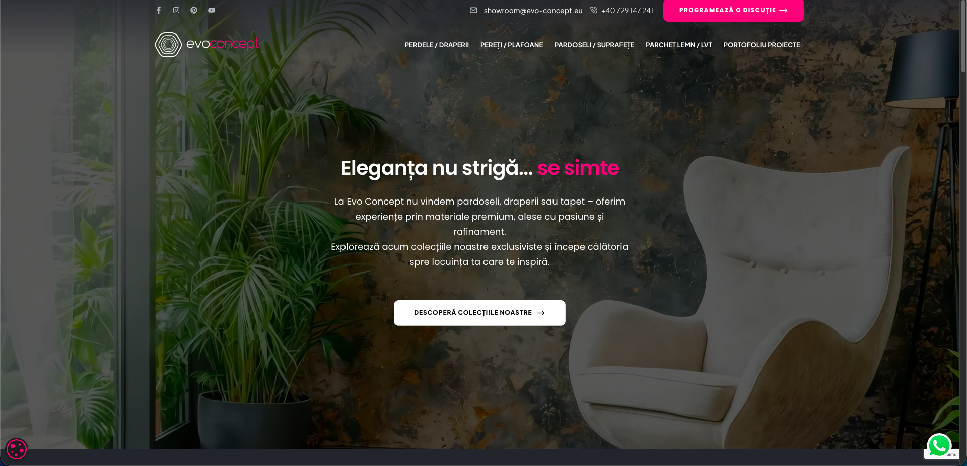 3 motive pentru care ProjectMedia domină web design Timișoara