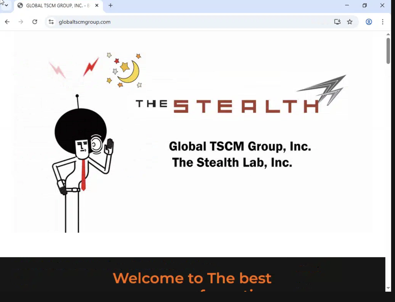 Global TSCM Group website showing The Stealth branding and company name.