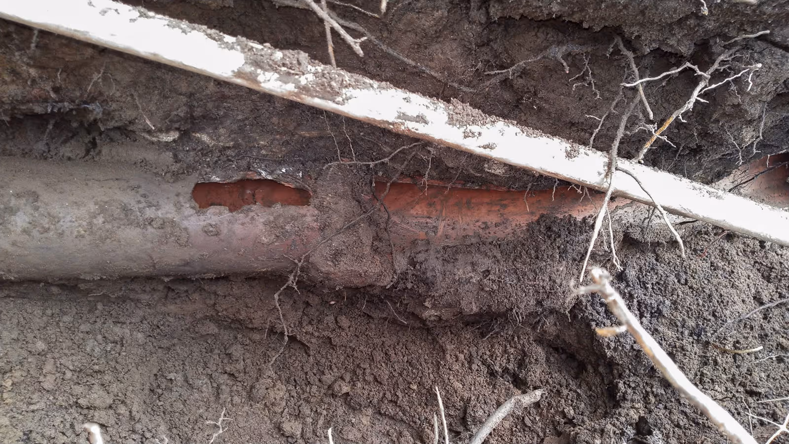 sewer line issues, broken pipe