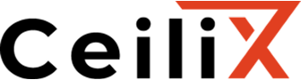 International Plastics logo — flexible plastic packaging manufacturer using Sibe for SolidWorks