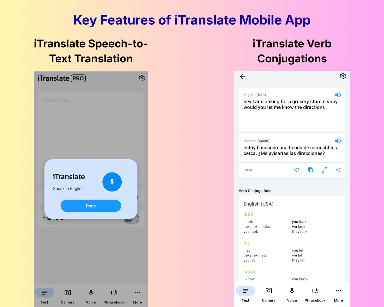 itranslate speech to text and verb conjugations