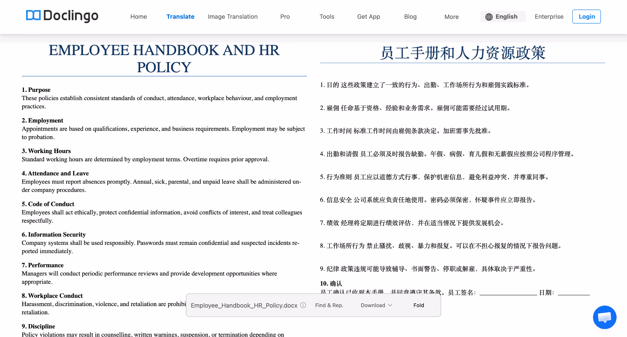 doclingo translated hr policy