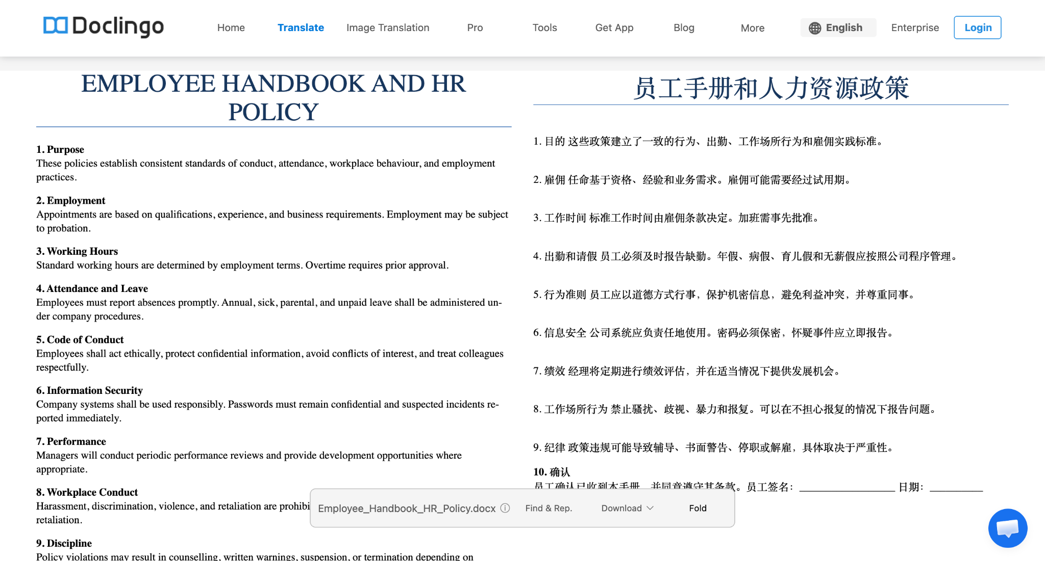 doclingo translated hr policy
