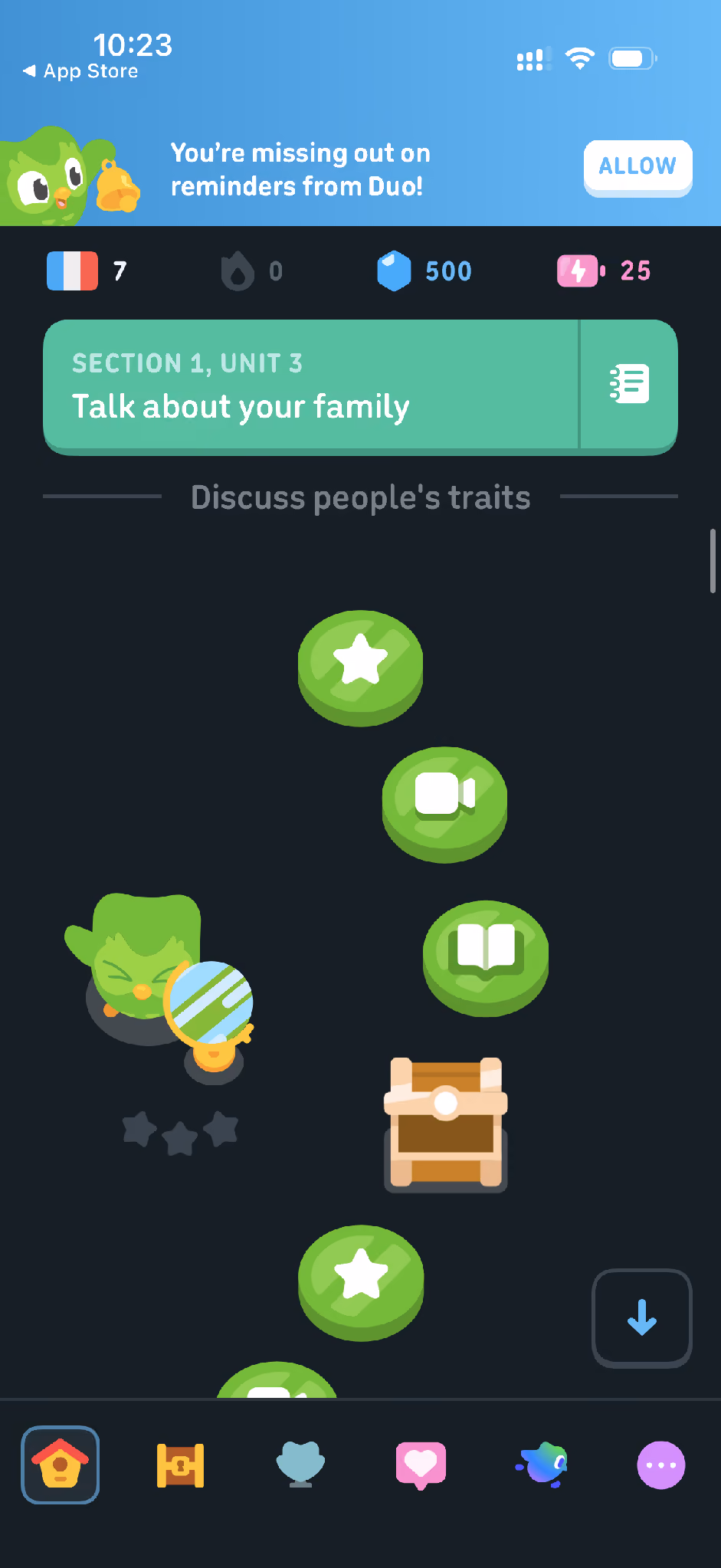 duolingo lession path