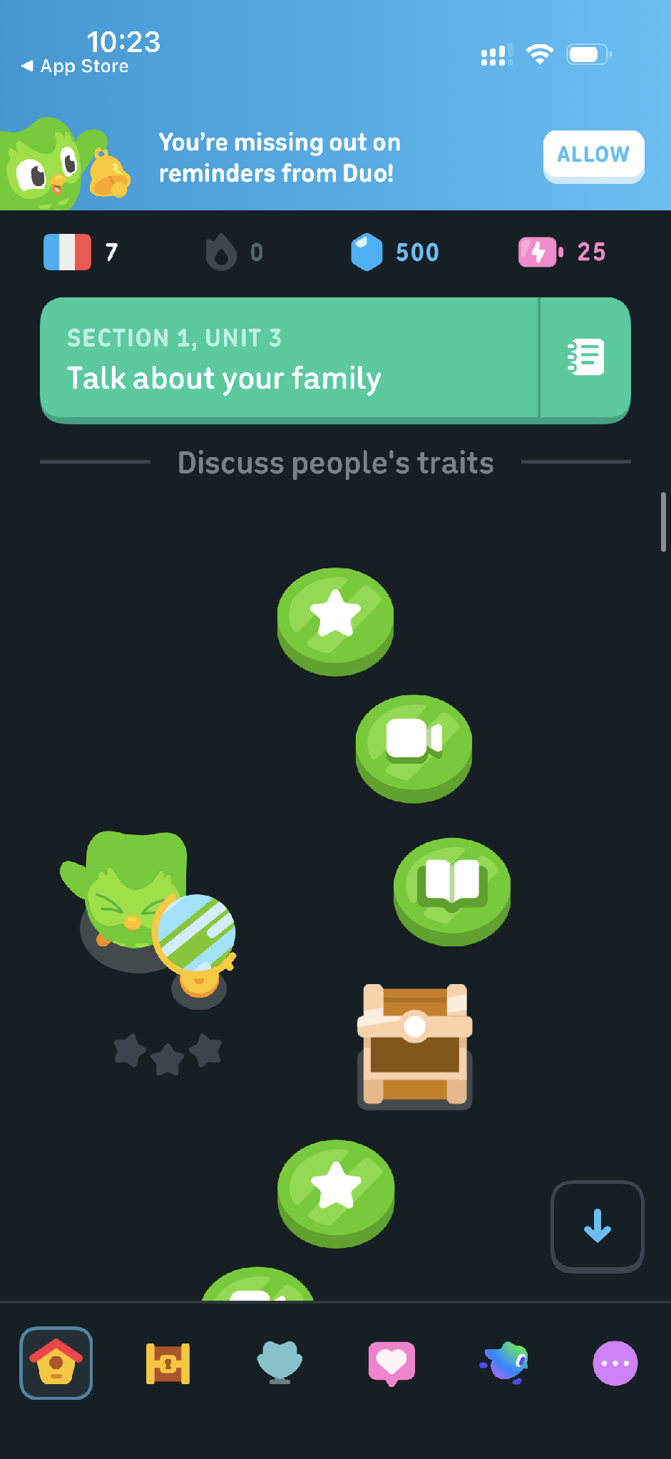 duolingo lession path